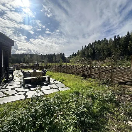 Osterdalsstua Fra 1700 Tallet- - Sauna - 9 Soverom - 30 Min Osl Eina