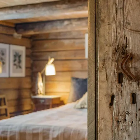 Osterdalsstua Fra 1700 Tallet- - Sauna - 9 Soverom - 30 Min Osl Maison d'hôtes Eina